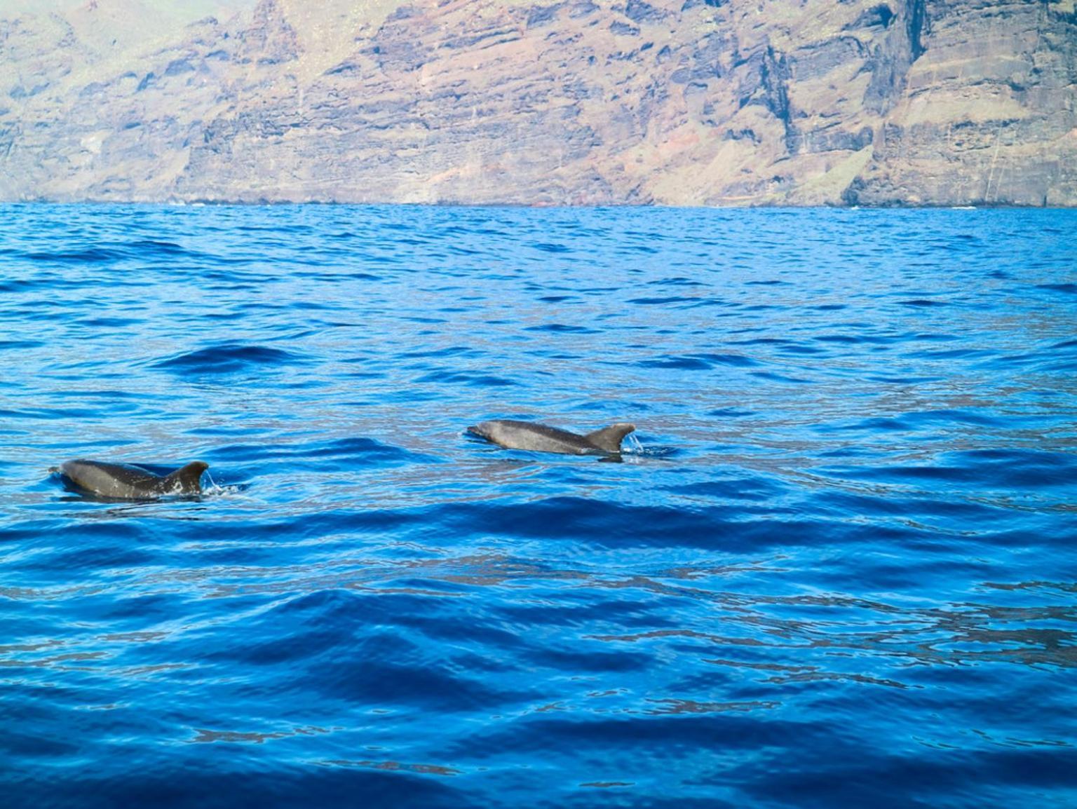 Apartamento Cerca De La Playa Santiago Del Teide Bagian luar foto