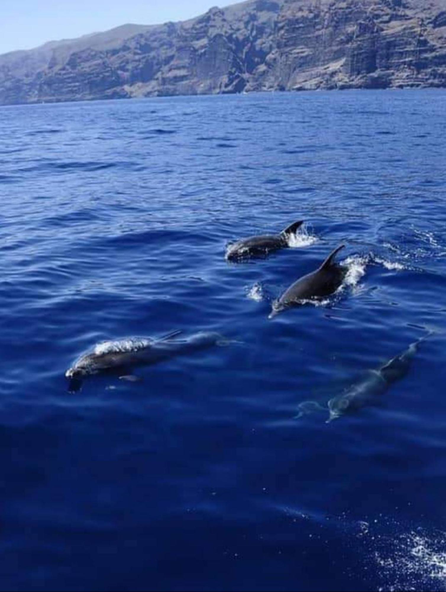 Apartamento Cerca De La Playa Santiago Del Teide Bagian luar foto